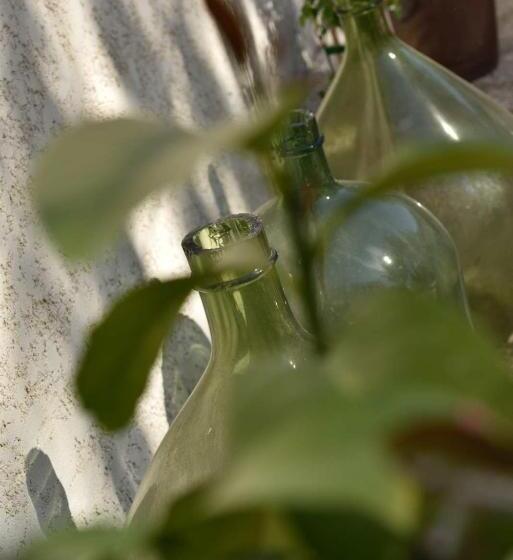 بنسيون Domaine Le Bois Des Dames