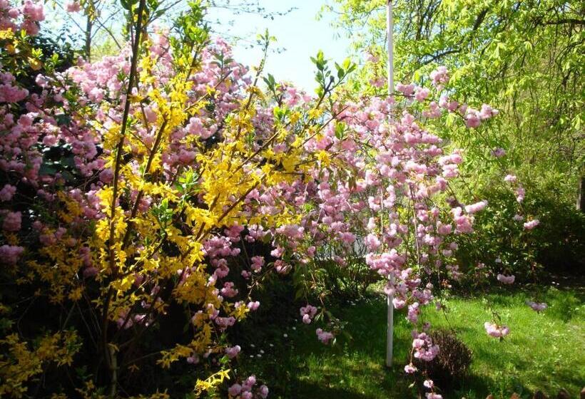 膳宿费 Maison D Hôtes Alsace   4 Chambres D Hôte   Private Gästezimmer Elsass   Private Guest Rooms Alsace