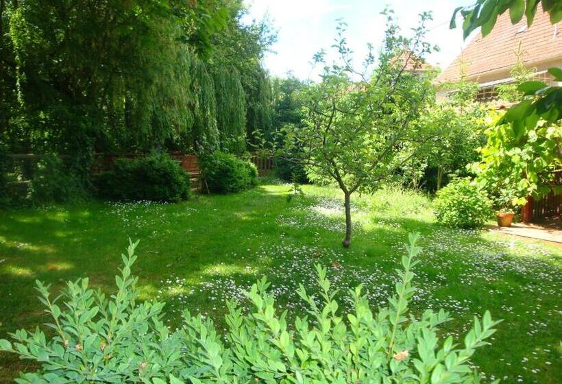 膳宿费 Maison D Hôtes Alsace   4 Chambres D Hôte   Private Gästezimmer Elsass   Private Guest Rooms Alsace