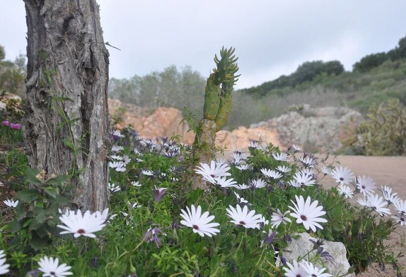 레지던스 Résidence Maora Village