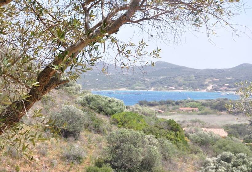 레지던스 Résidence Maora Village