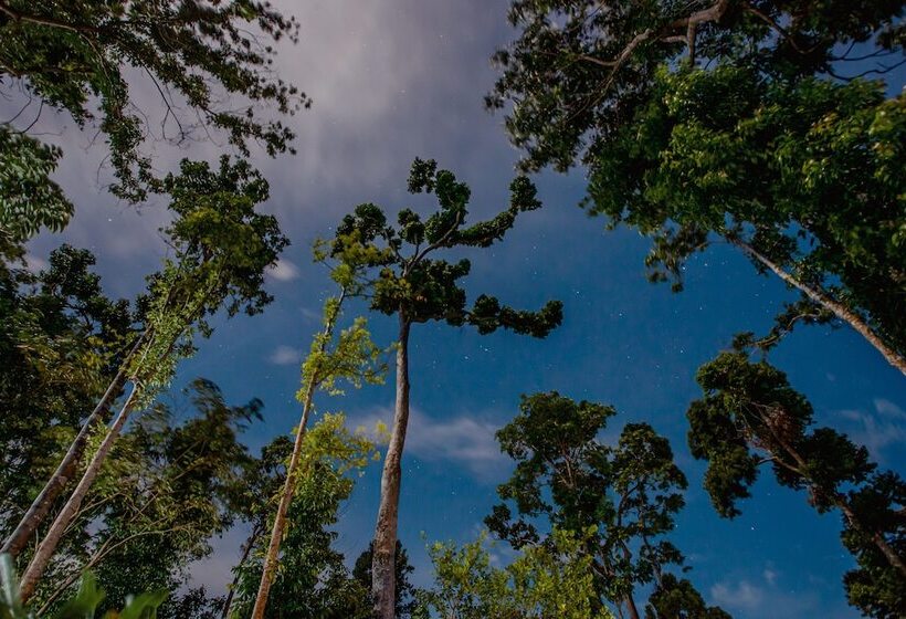 Курорт Atremaru Jungle Retreat