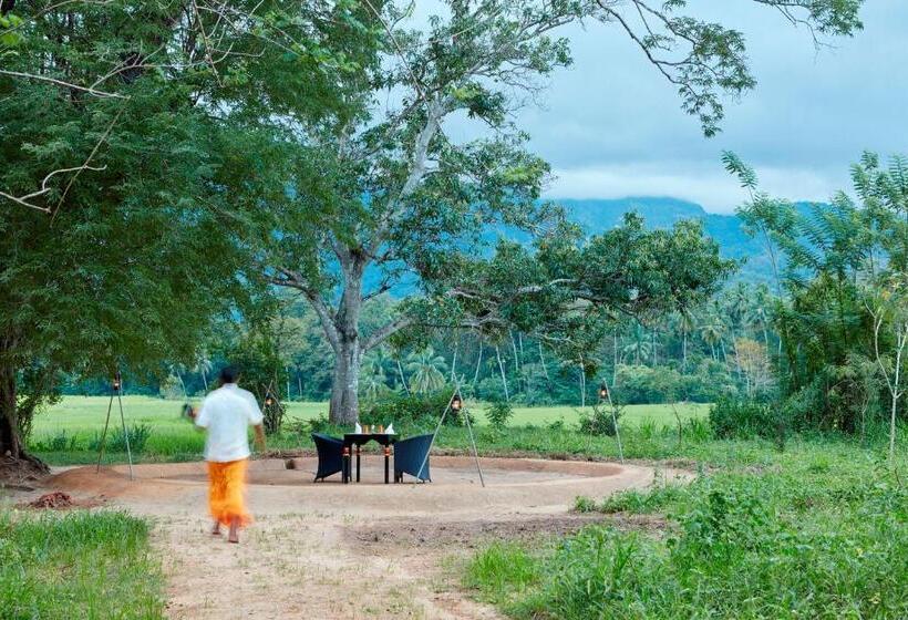 リゾートホテル Jetwing Kaduruketha