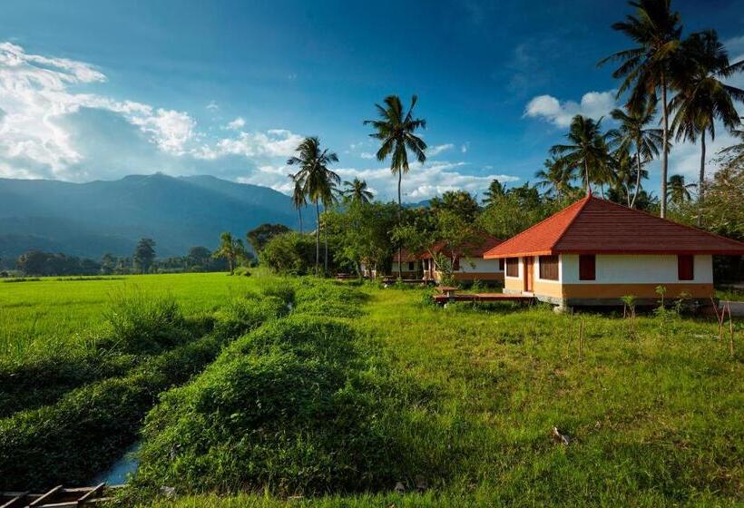 リゾートホテル Jetwing Kaduruketha