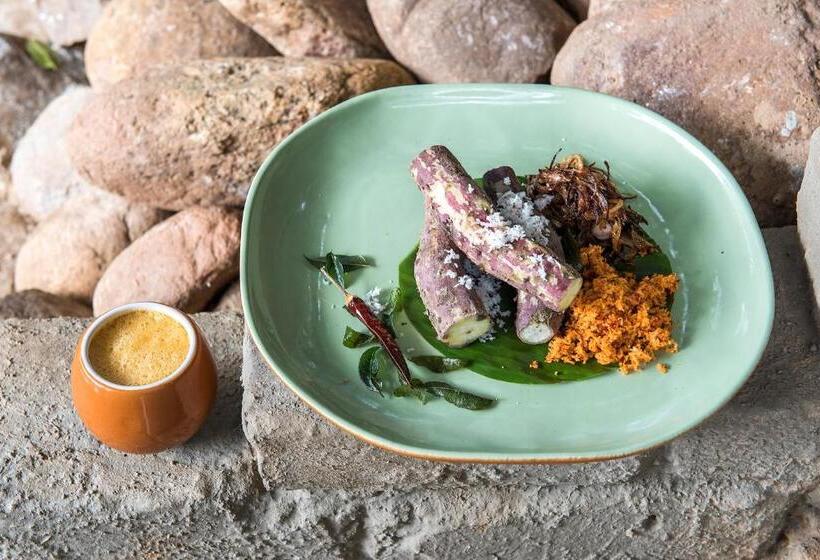 リゾートホテル Jetwing Kaduruketha