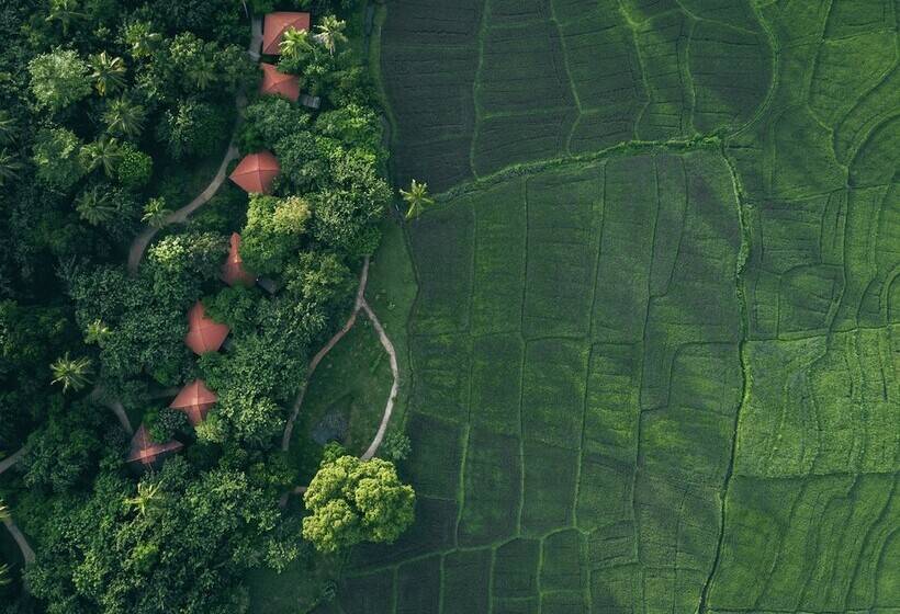 リゾートホテル Jetwing Kaduruketha