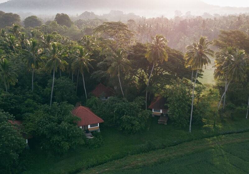 リゾートホテル Jetwing Kaduruketha