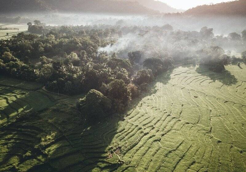 リゾートホテル Jetwing Kaduruketha