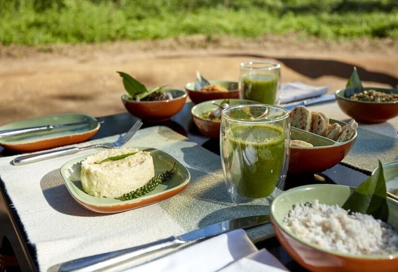 リゾートホテル Jetwing Kaduruketha