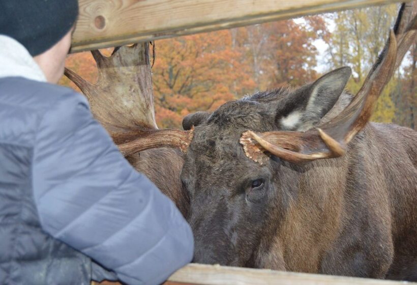 östermalma Vandrarhem
