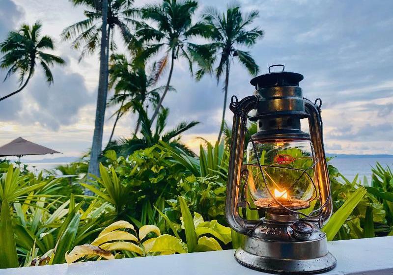 Taveuni Palms