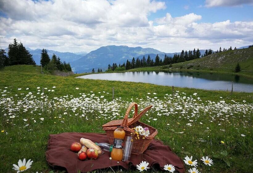 Wellness Hotel Montis