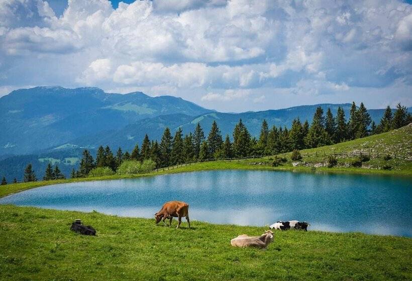 Wellness Hotel Montis