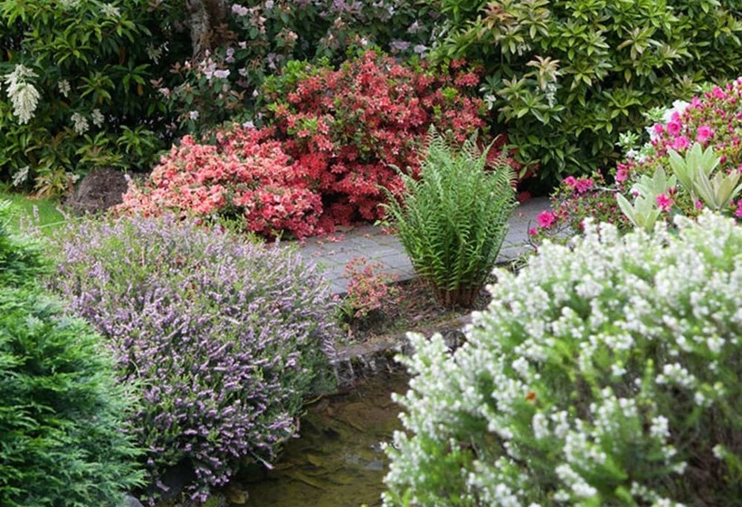 538 Great King Motel