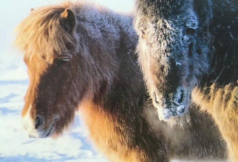 Adventure Hotel Hellissandur