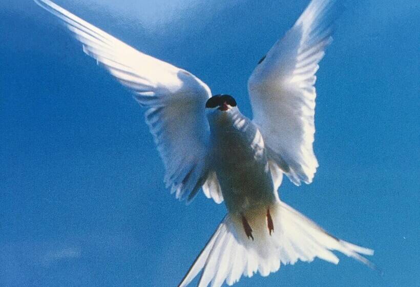 Adventure Hotel Hellissandur