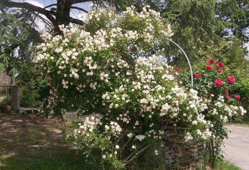 مبيت وإفطار A La Villa D'herbauges