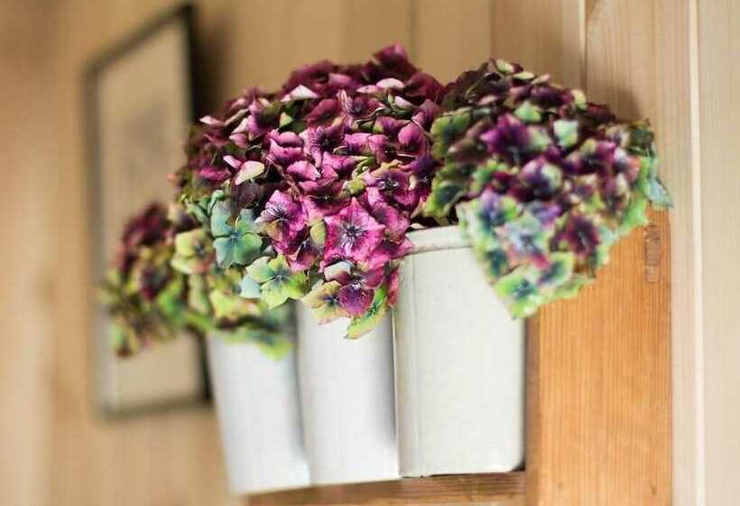 مبيت وإفطار Siabod Huts