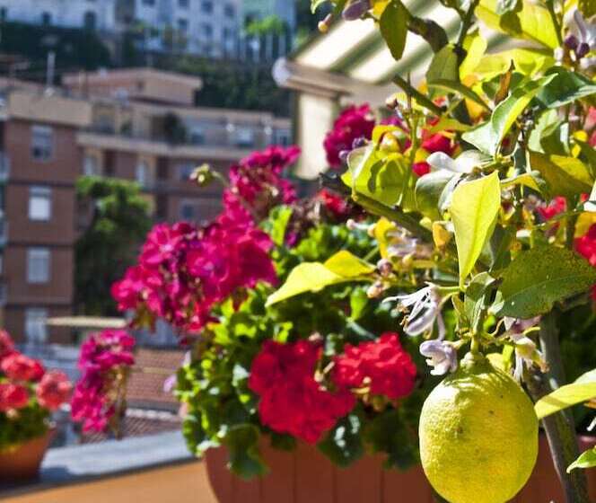 Bed and Breakfast Tetto Fiorito