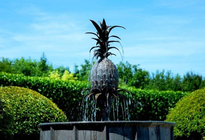 צימר The Old Hall Ely