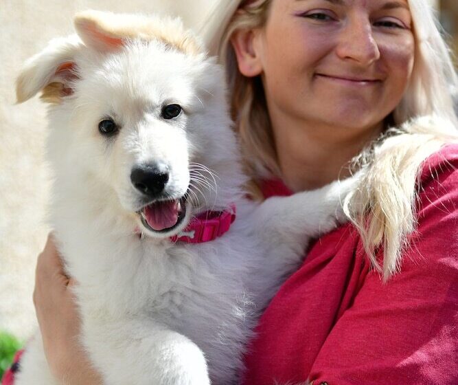 צימר Tree Tops Guest House