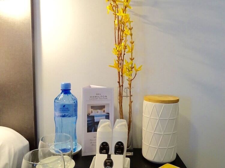 Bks Premier Motel Hamilton