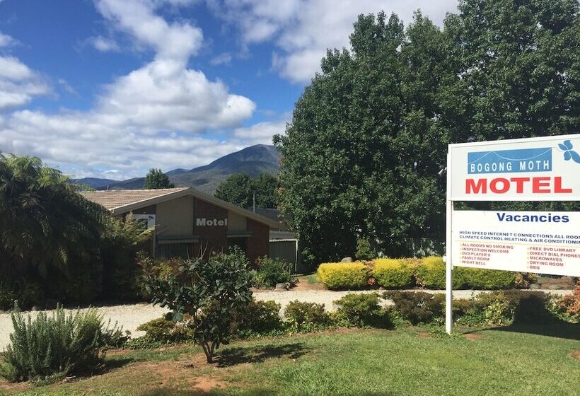 Bogong Moth Motel