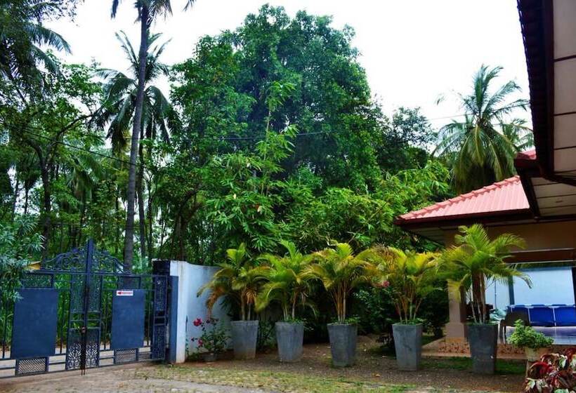 Dambulla City Hostel