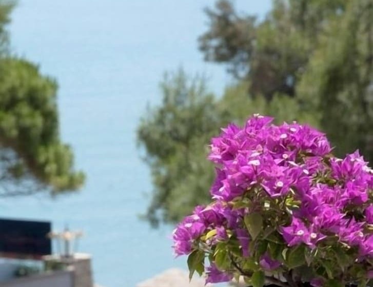 Epavlis Beach Resort