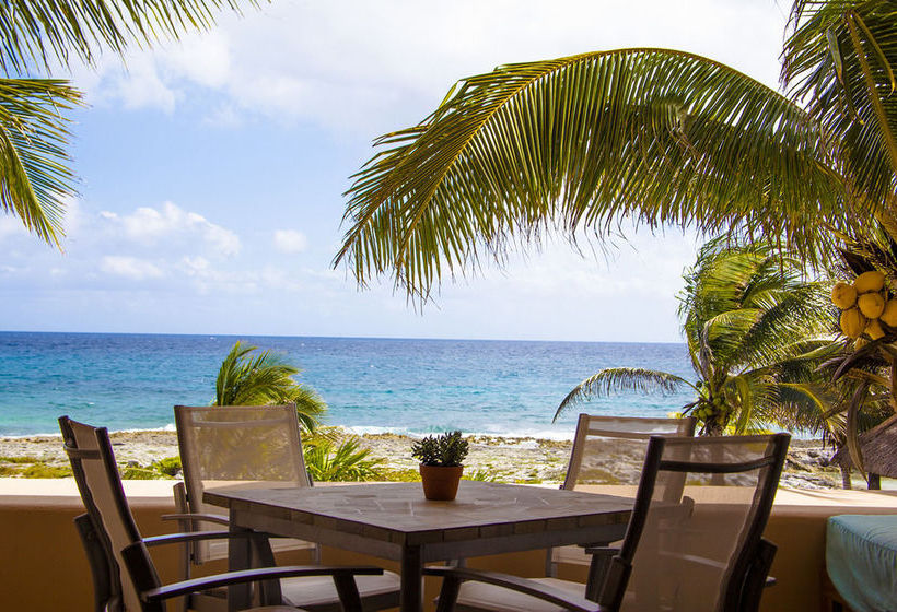 Ocean View Apartments By Homing Bird