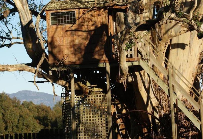 فندق Aaa Granary Accommodation