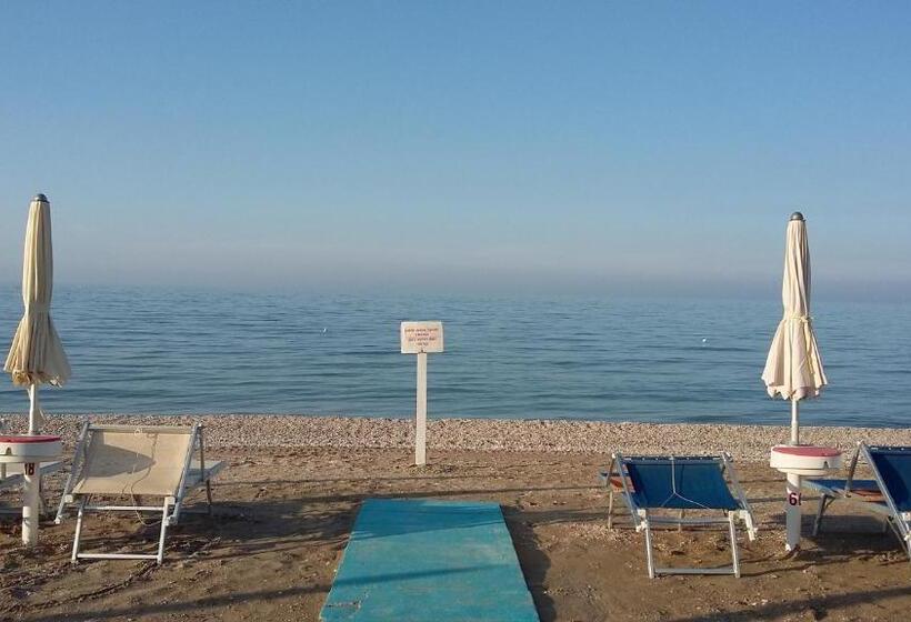 Отель Ambassador