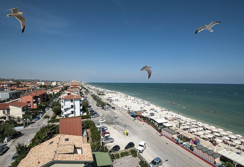 Отель Ambassador