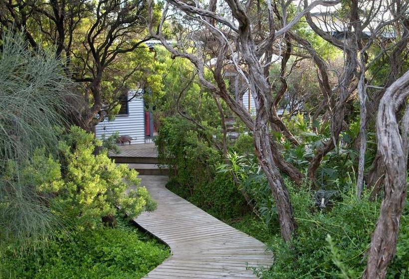 호텔 Big Blue Backyard