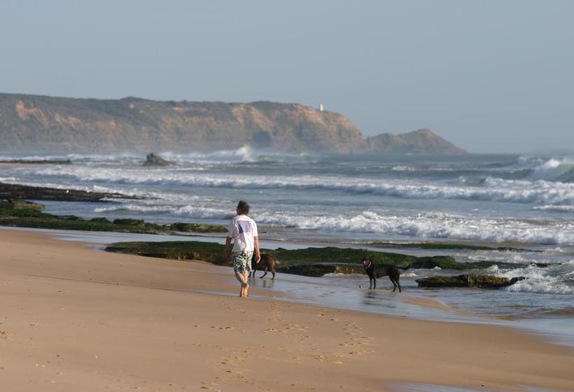 호텔 Big Blue Backyard