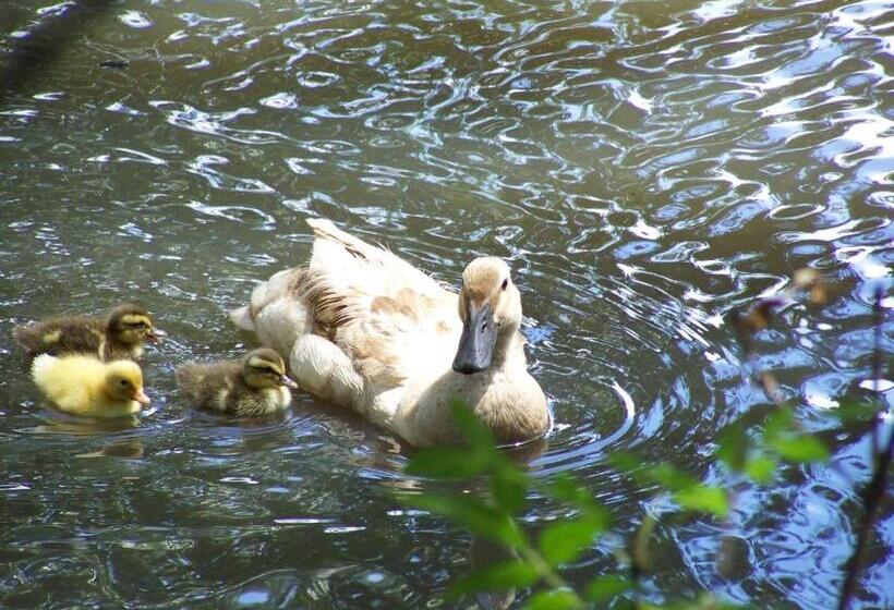 فندق Burra Motor Inn