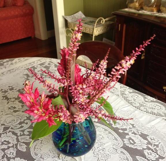 فندق Elindale House Bed & Breakfast