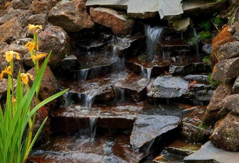 فندق Glencoe Country Bed And Breakfast