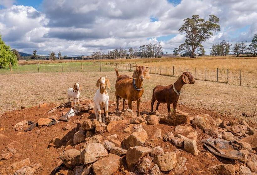 فندق Glencoe Country Bed And Breakfast