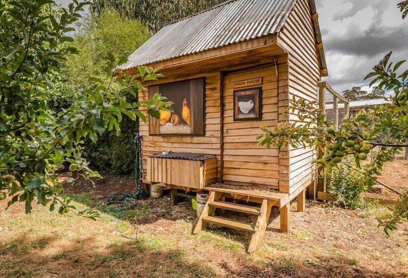 فندق Glencoe Country Bed And Breakfast