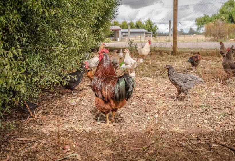 فندق Glencoe Country Bed And Breakfast