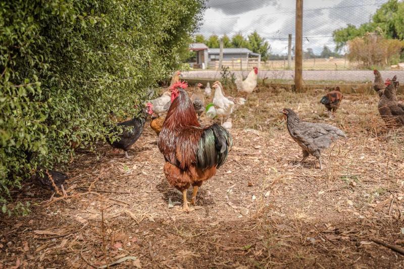 فندق Glencoe Country Bed And Breakfast