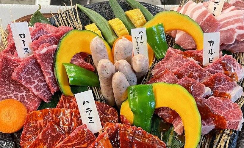 酒店 Hakuba Ryujin Onsen Ryokan Sui