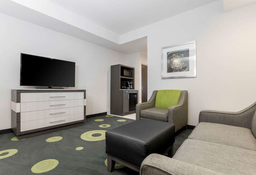 فندق Hilton Garden Inn Ardmore