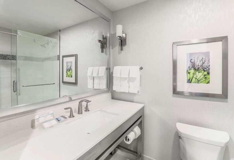 فندق Hilton Garden Inn Ardmore