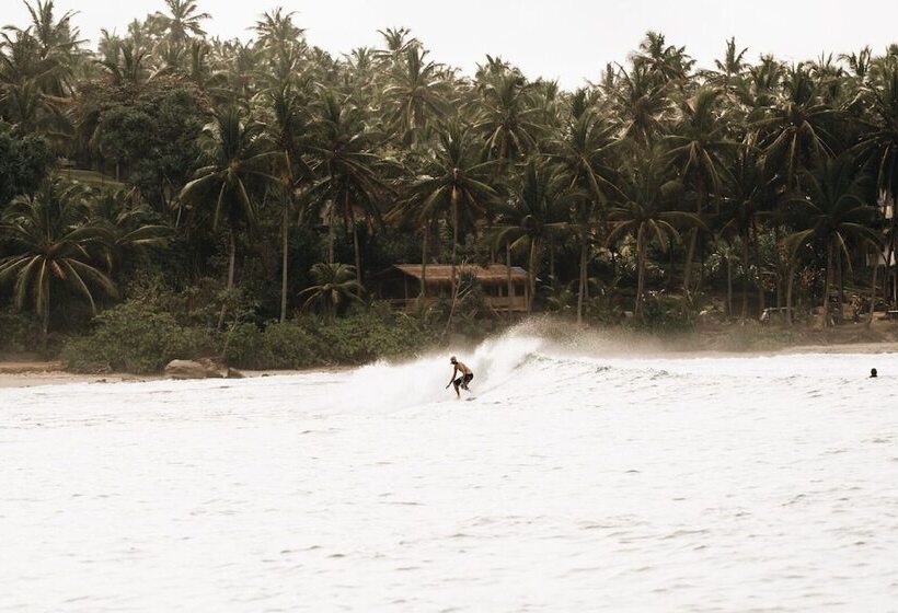 Отель Jasper House