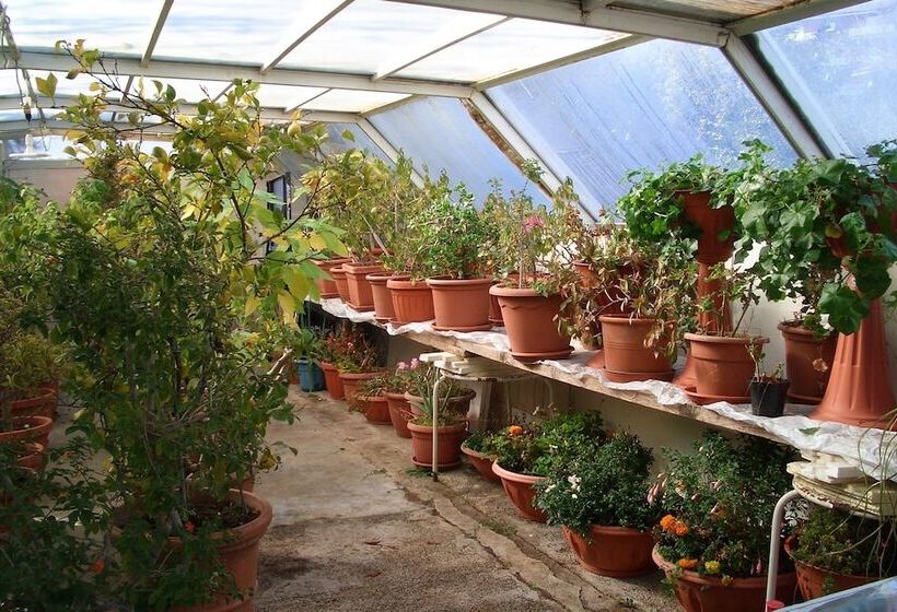 בית מלון כפרי King