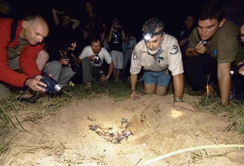 בית מלון כפרי Koola Beach Apartments Bargara