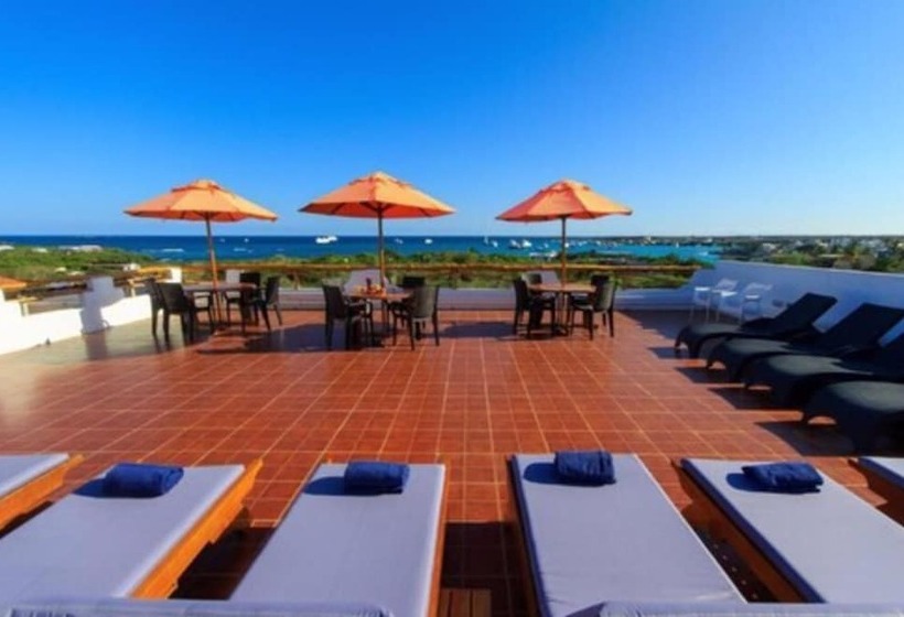 هتل La Casa De Judy