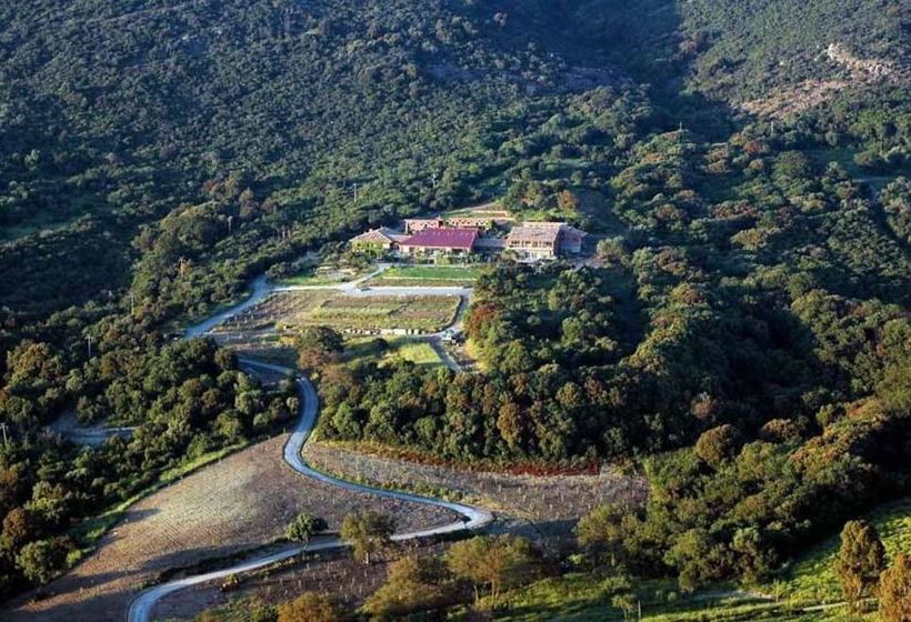 L Isola Di Rosa   Relais & Hotel Di Charme